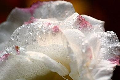 《王者荣耀》橘右京新皮肤枫霜尽演示 今日上线